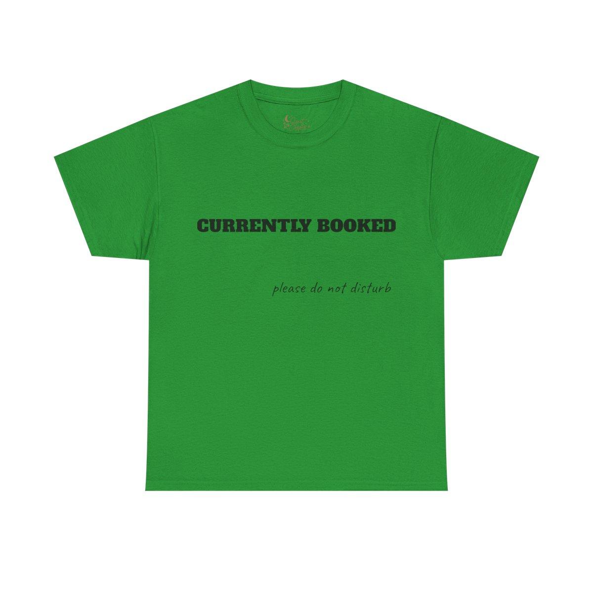 Quiet Chapter | Currently Booked T-Shirt "please do not disturb" text tee - irish green