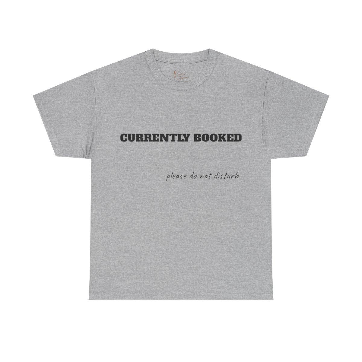 Quiet Chapter | Currently Booked T-Shirt "please do not disturb" text tee - sport grey